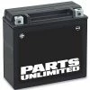 Parts Unlimited Maintenance Free Battery YTZ12S Batteries