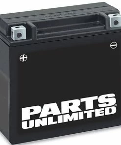 Parts Unlimited Maintenance Free Battery YTZ14S Batteries