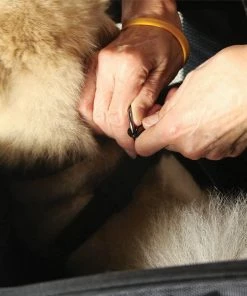 Nelson Rigg Nelson-Rigg Rover Pet Carrier NR-240