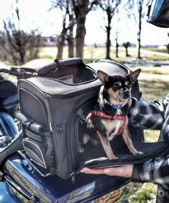 Nelson Rigg Nelson-Rigg Rover Pet Carrier NR-240